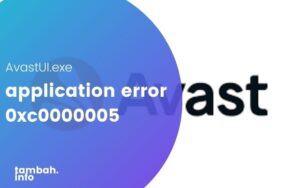 application error 0xc0000005