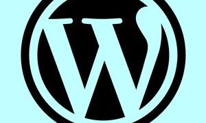 Cara Update Wordpress Manual