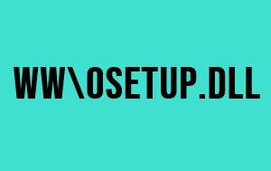 WW\osetup.dll