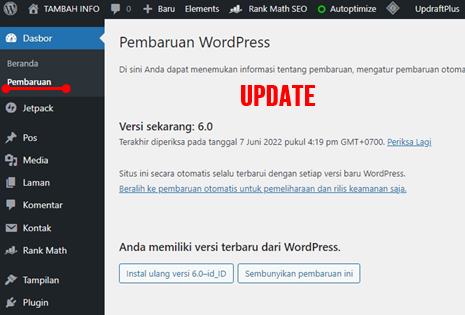 update otomatis wordpress